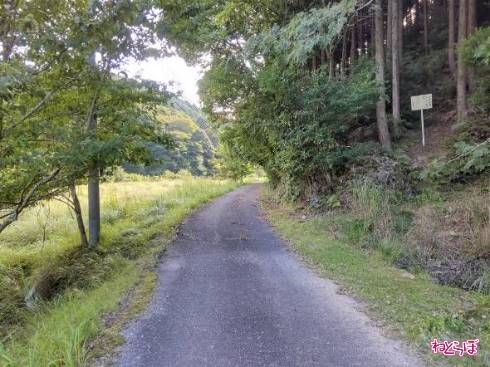 山肌に何か書いてあります