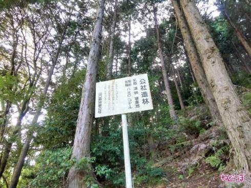 「公社造林　道狭事業地」