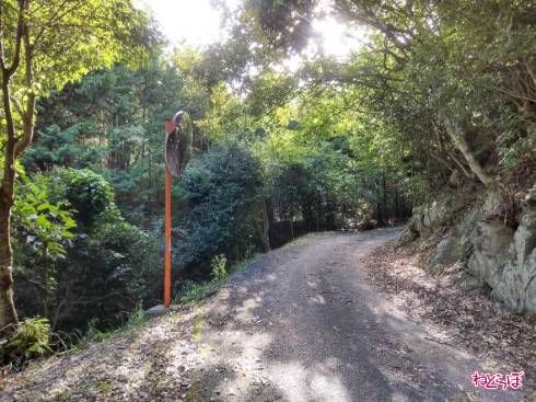 崖側にガードレールがない