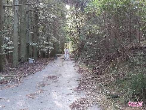 唐突に行き止まりに