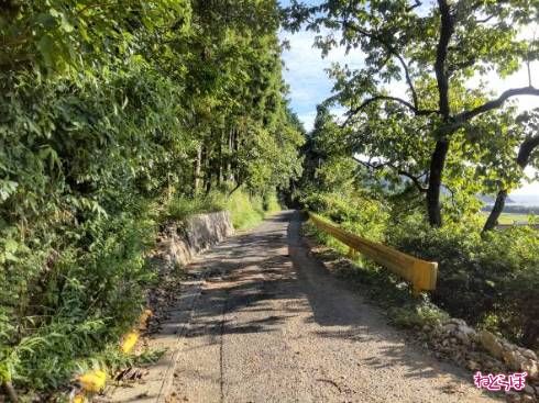 県道要素はガードレールのみ