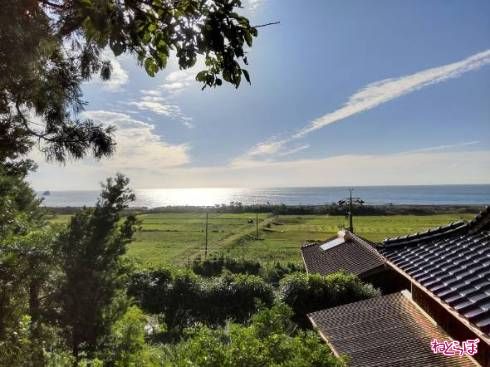 県道270号から見える景色