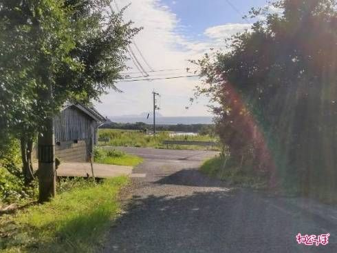 県道との合流地点とは思えない交差点