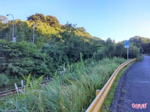 隣には山陰本線。その向こうに国道191号の標識が見える