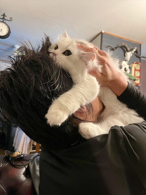 猫ちゃんとパパさん