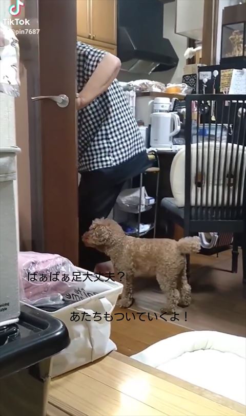 頭がドアに隠れるばぁばとワンコ