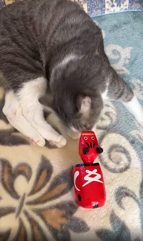 顔で赤べこゆらす