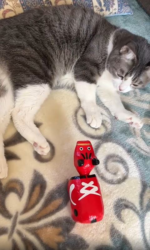 横になって赤べこ見る