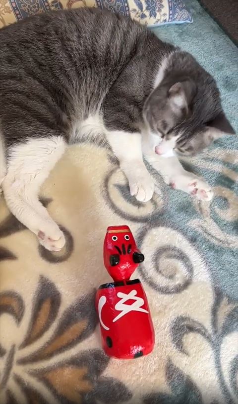 横になって赤べこ見る目細めてる