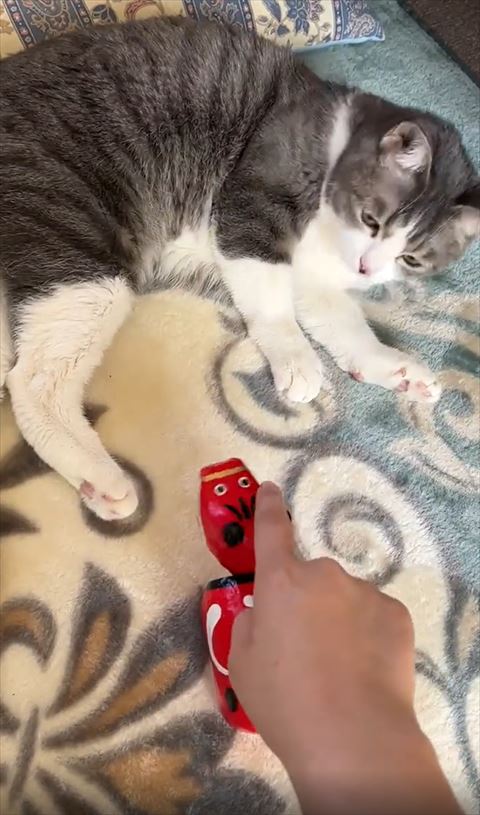 飼い主が赤べこさわる