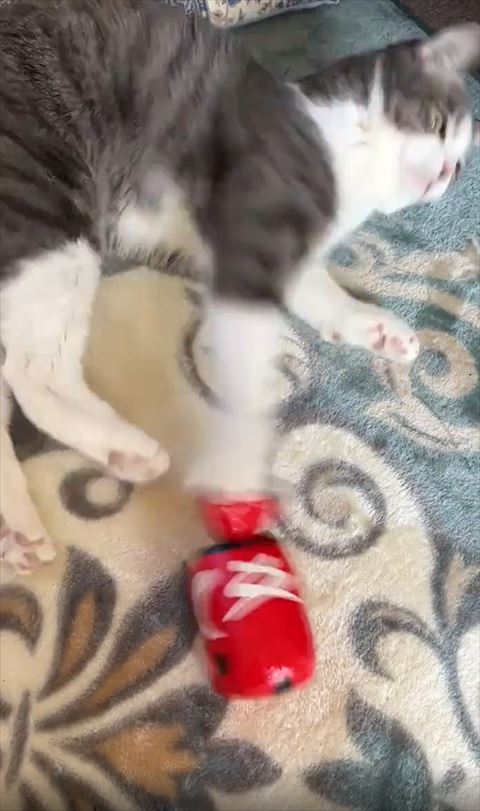 赤べこパンチする直前