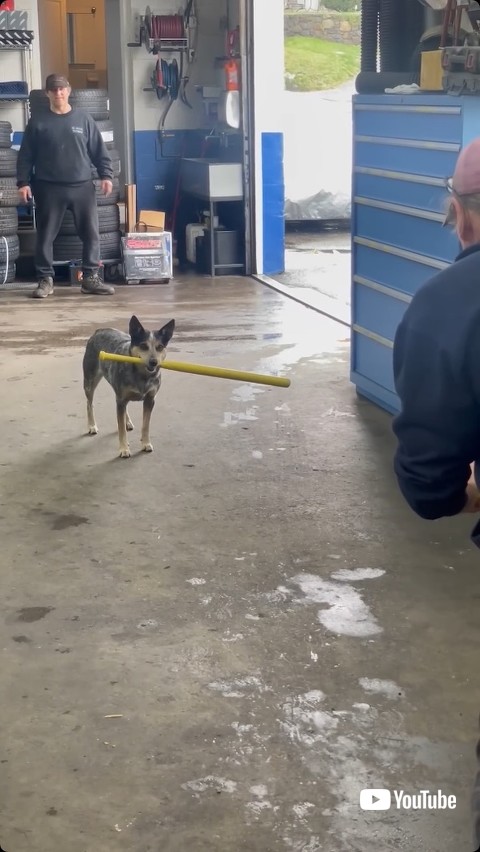 投球モーションに入る男性