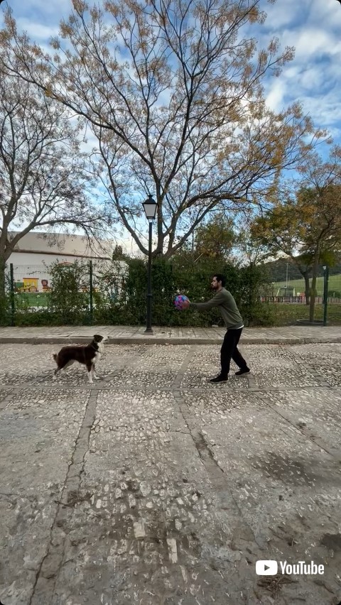 ボールを投げる男性