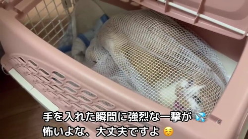 手を入れた瞬間