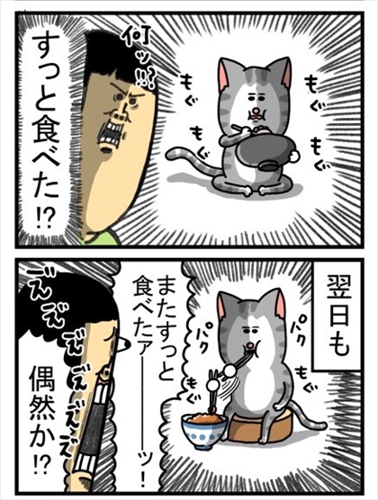 すんなり食べた猫