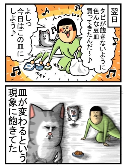 豆皿を用意した飼い主