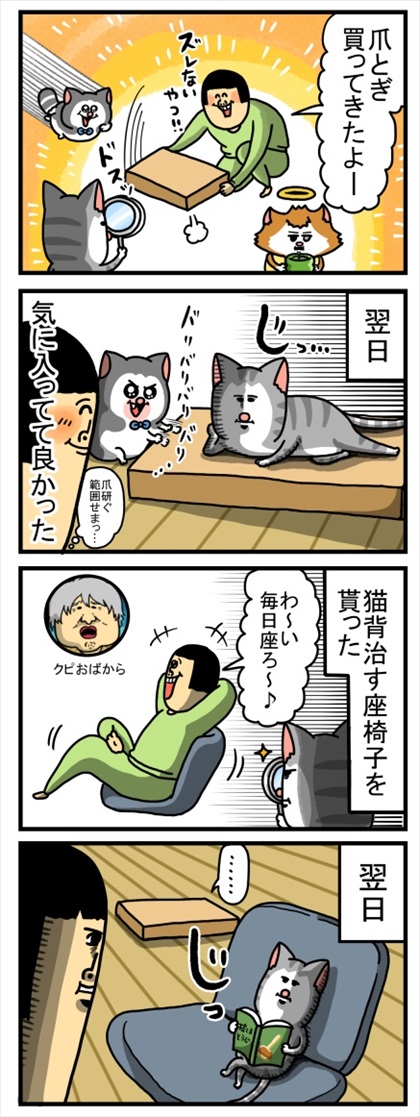 爪とぎ買ってきた飼い主