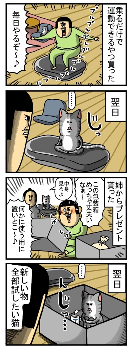 気に入る猫たち