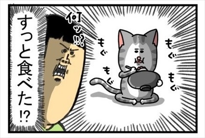 飽き性の猫がご飯を食べる方法