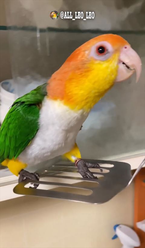 へらで上に移動する