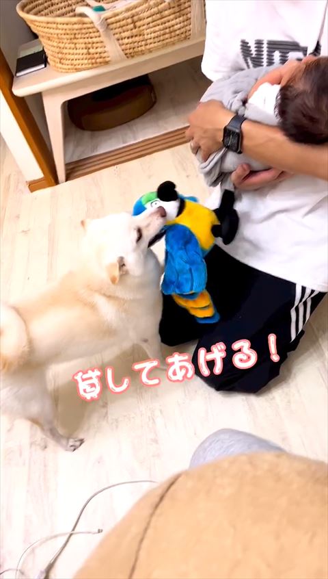 貸してあげるテロップ