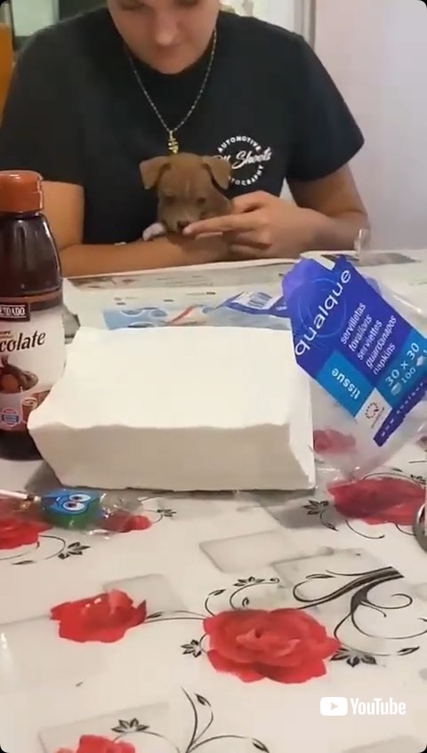 指を出す飼い主