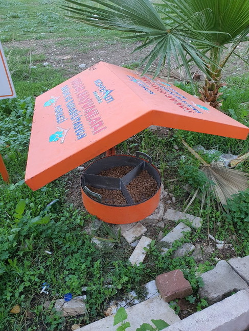 自治体が設置したごはん