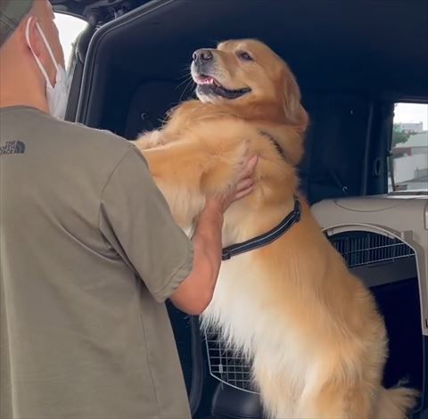 脇に手を入れる