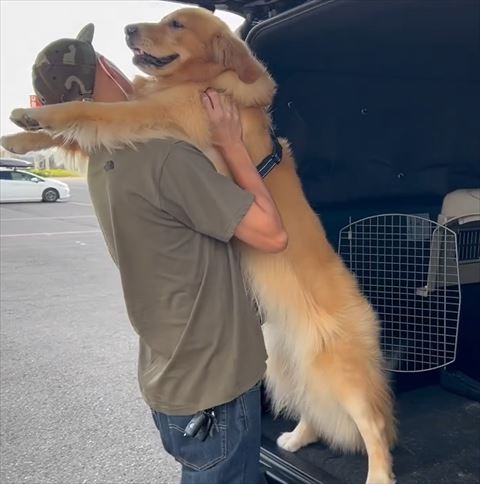 体がのびるワンコ