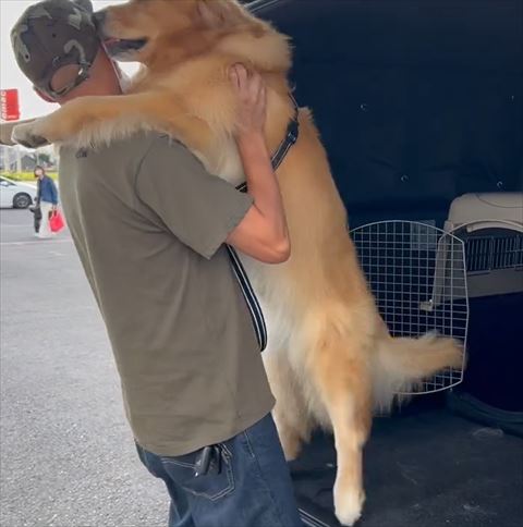 後ろ足を車から離すワンコ