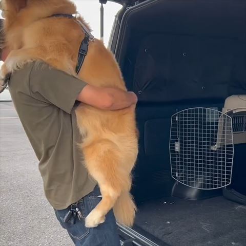 抱っこされる瞬間