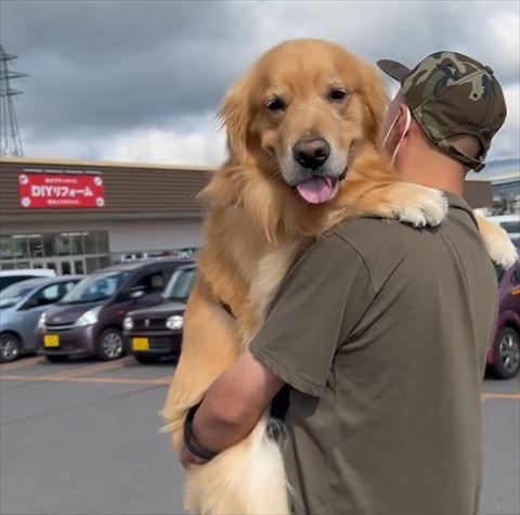 抱っこされてるワンコ