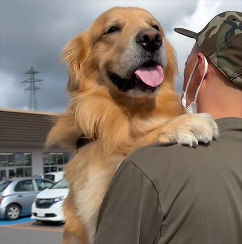 抱っこされてるワンコアップ