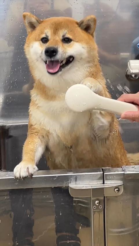 オススメ