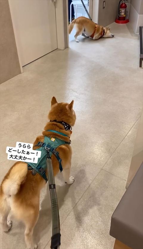 左頬を床にすりつける