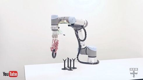 くねくね動く触手が物体に絡みついて持ち上げるロボットを米ハーバード大が開発　クラゲの細い触手をヒントに設計