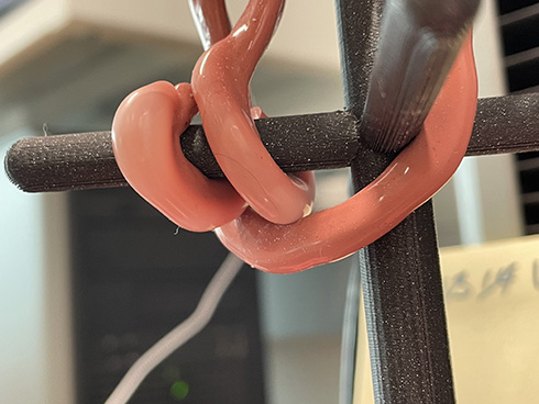 くねくね動く触手が物体に絡みついて持ち上げるロボットを米ハーバード大が開発　クラゲの細い触手をヒントに設計