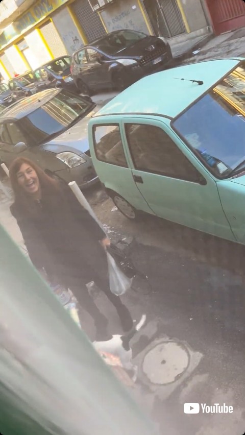 友達に気付かない犬