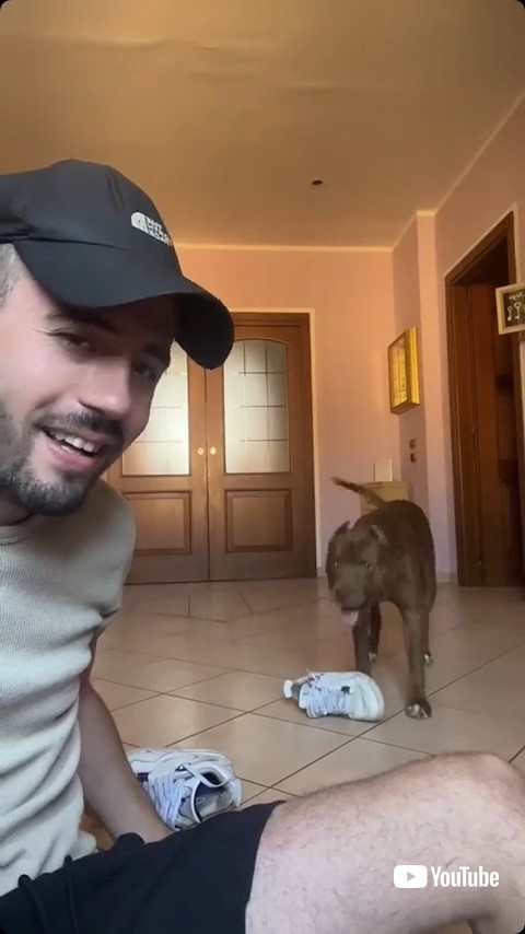 もう片方を持ってくる犬