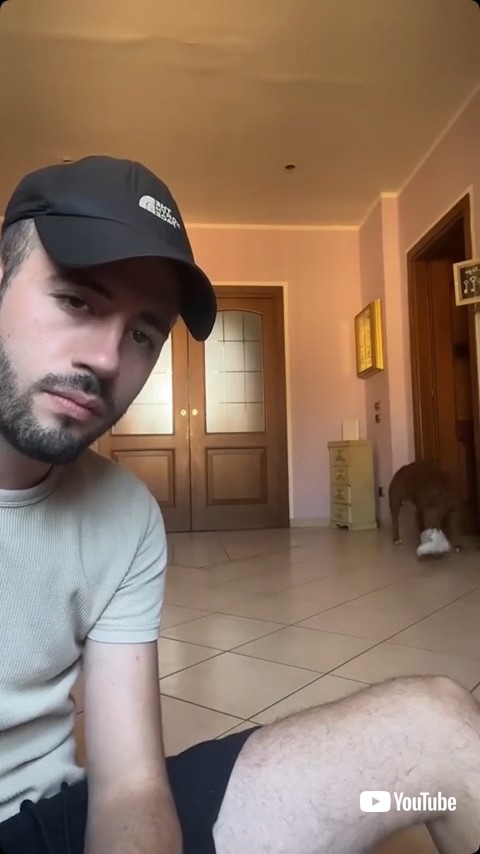 靴をくわえる犬