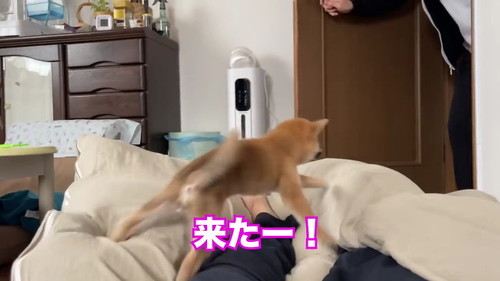 おとうさんを飛び越え