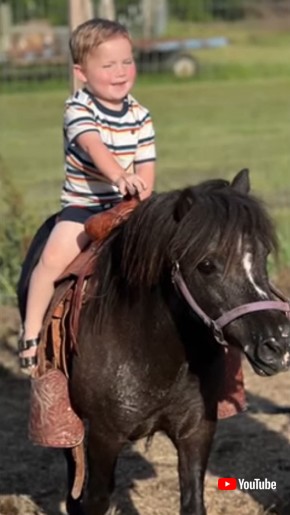 Toddler Surprised With Pony For Christmas