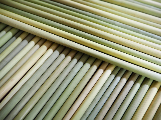 エコで紙ストローの代わりになり得るかもしれない「草ストロー」