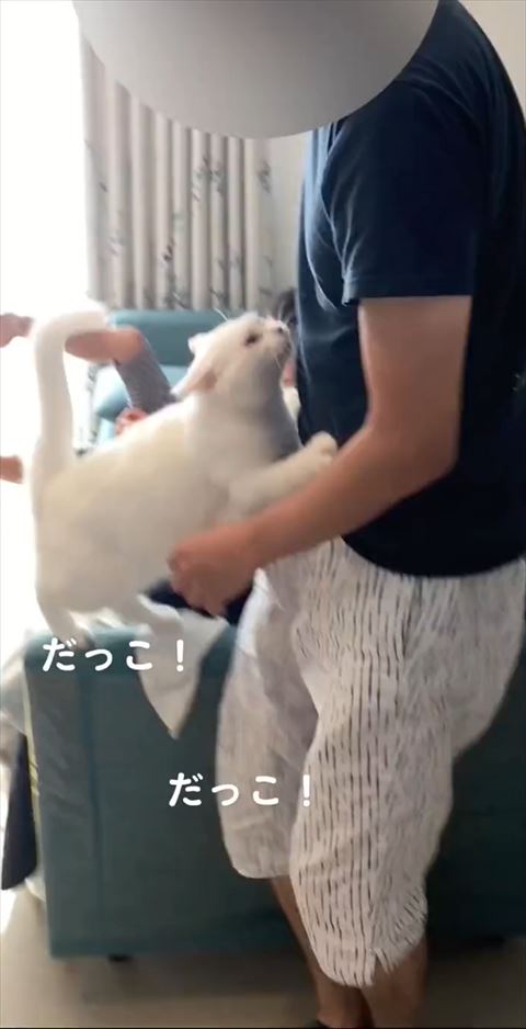 猫おねだり