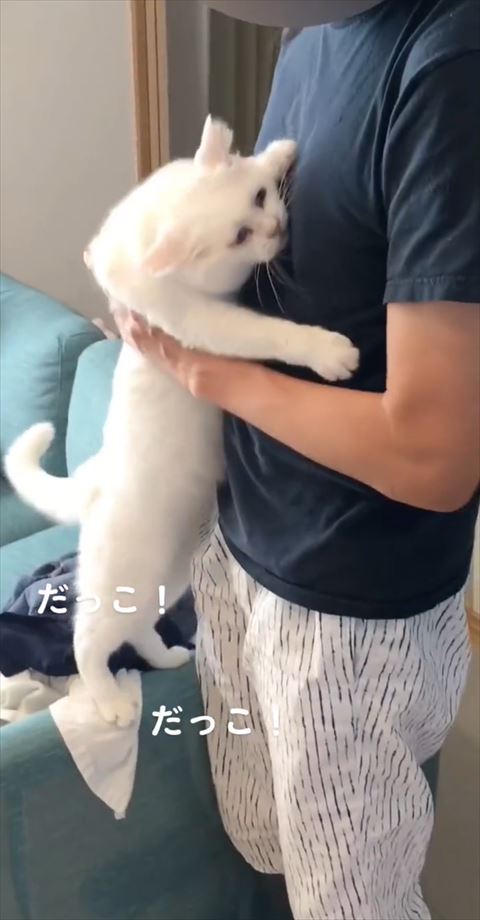 抱っこされる瞬間