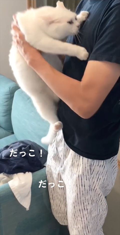 後ろ足パパのおなか