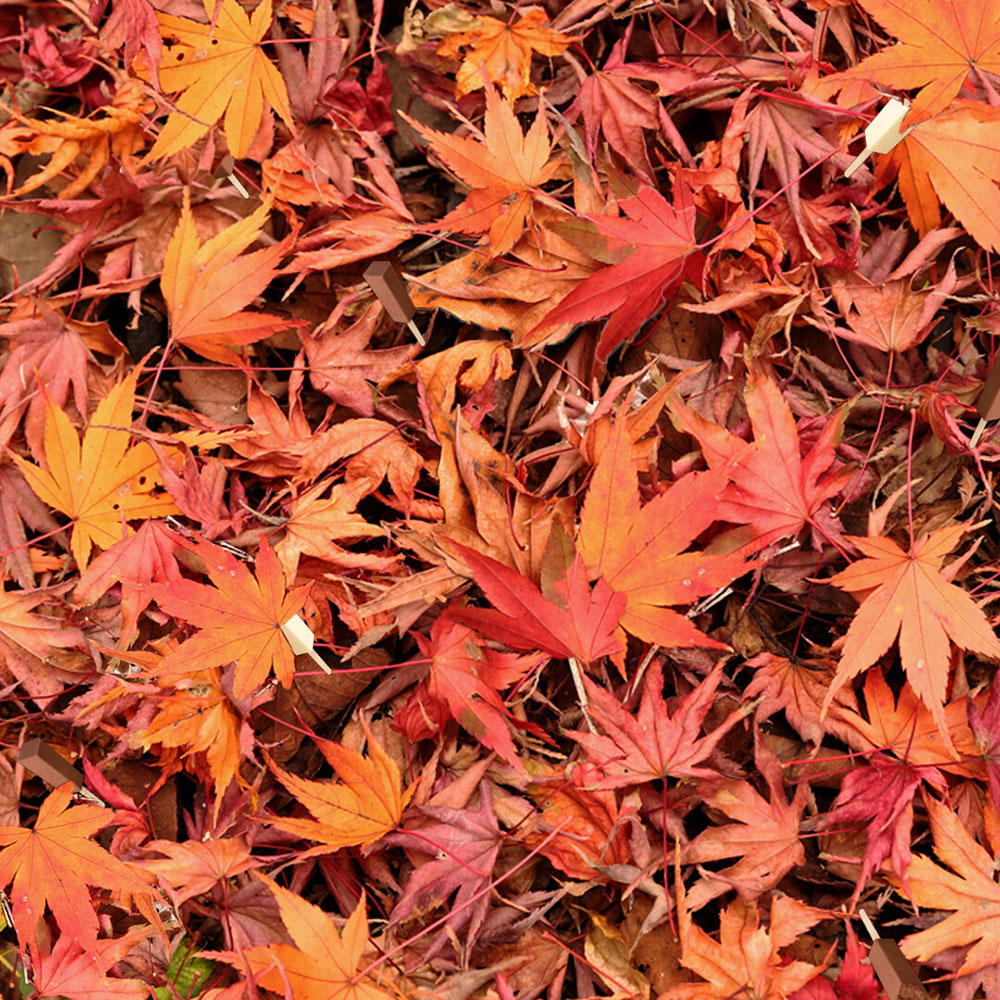 画像の中に「ホームランバー」が隠れています　メイトーが出題した隠し絵クイズに「意外と難問」「何気に見つけづらい」と注目