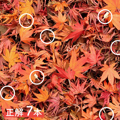 画像内テキスト