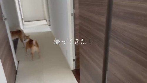 ママ帰宅したときの様子