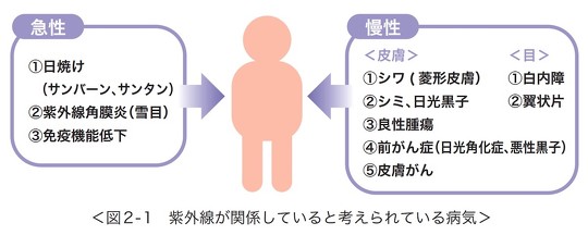 海外でTikTokの投稿をきっかけに「アナル日光浴（肛門日光浴／会陰日光浴）」が流行中